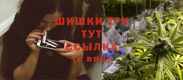 mix Козельск
