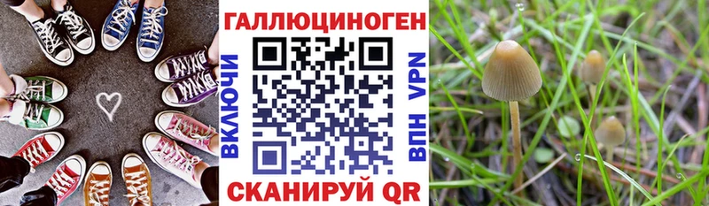 дарнет шоп  Кизел  Галлюциногенные грибы мицелий 